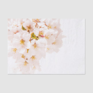 Papier de soie de soie de fleurs de cerisier