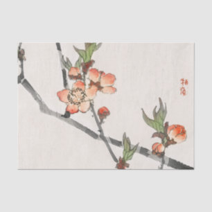Papier de soie de soie de FLEURS DE CERISIER