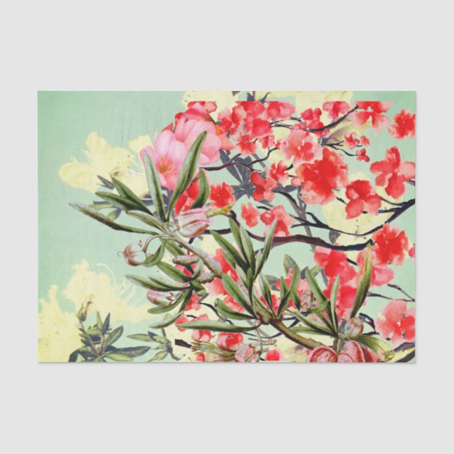PAPIER DE SOIE DE SOIE DE FLEURS DE CERISIER (Recto)
