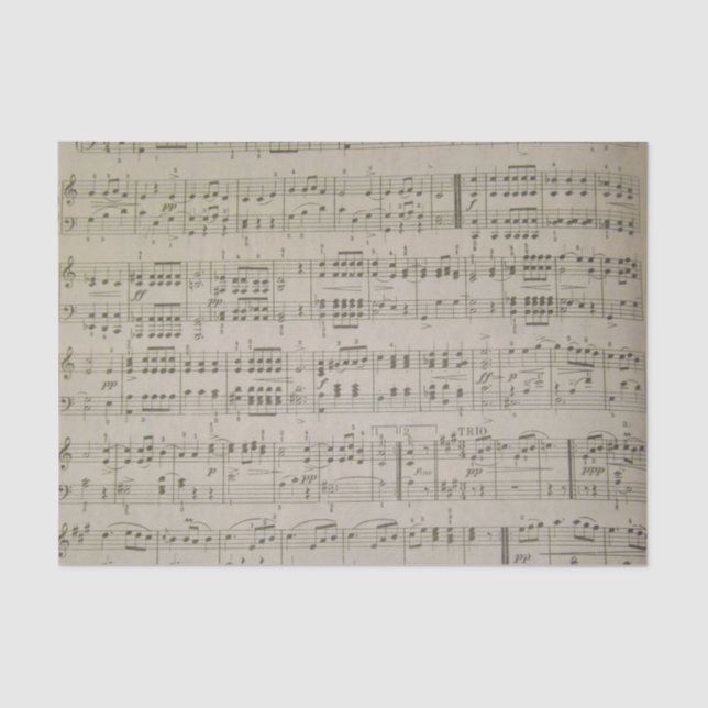 Papier de soie de soie de Menuetto (Recto)