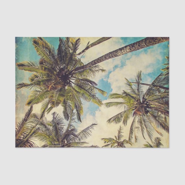 Papier de soie de soie de palmier de Cocos de (Recto)