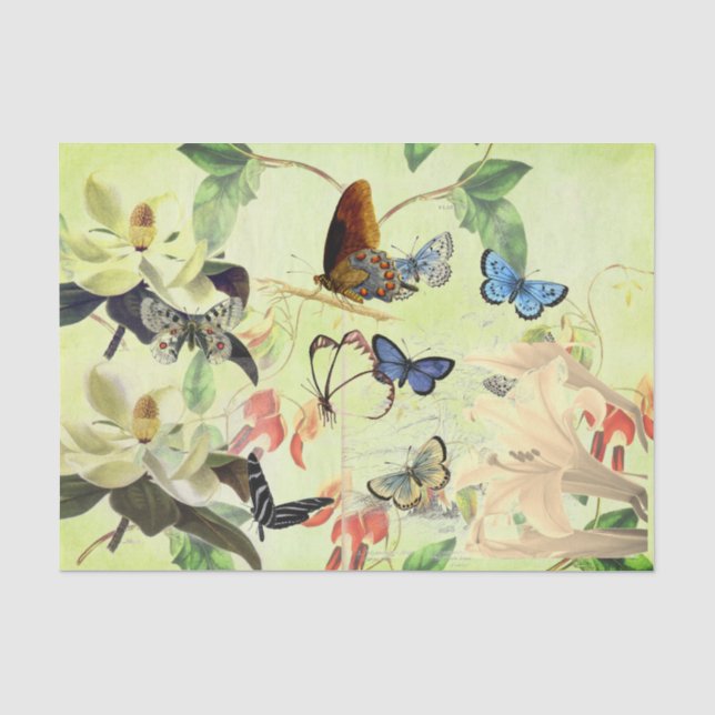 PAPIER DE SOIE DE SOIE DE PAPILLON ET DE MAGNOLIA (Recto)