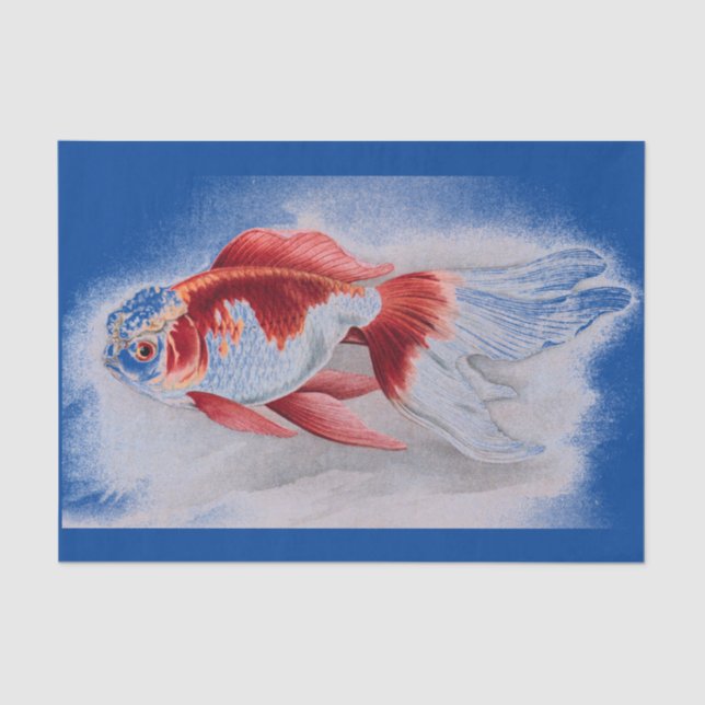 PAPIER DE SOIE DE SOIE DE POISSON ROUGE (Recto)