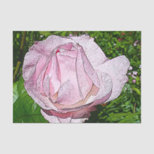Papier de soie de soie de rose de rose