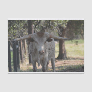 Papier de soie de soie du Texas Longhorn