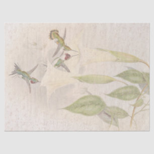 Papier de soie de soie floral d'oiseaux tropicaux