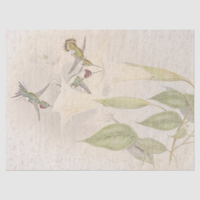 Papier de soie de soie floral d'oiseaux tropicaux (Recto)
