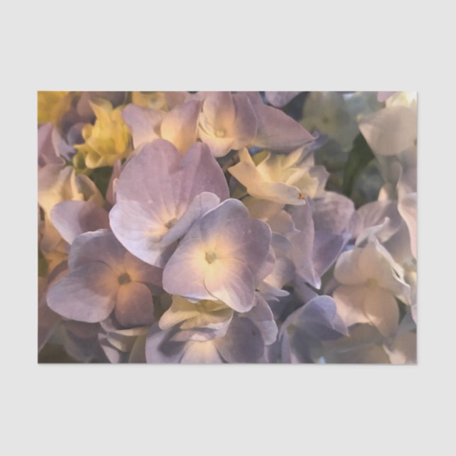 Papier de soie de soie pourpre de fleur (Recto)