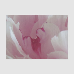 Papier de soie de soie rose de fleur