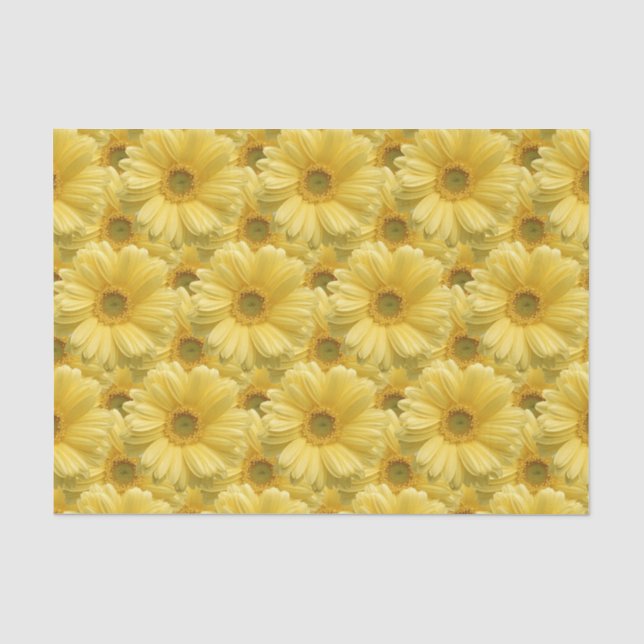 Papier de soie floral Jaune Daisy Marguerites (Recto)