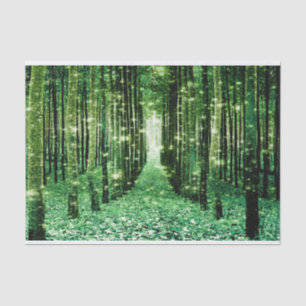 Papier de soie Forêt Magique Verte Mystère