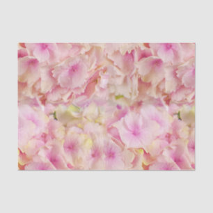 Papier de soie hydrangeas rose pastel