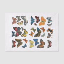 Papier de soie papillon découpage