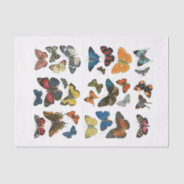 Papier de soie papillon découpage