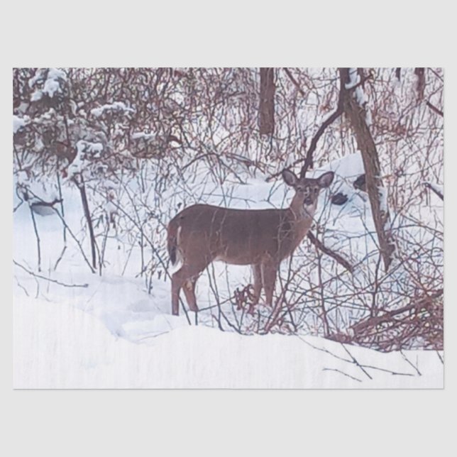 Papier de soie photo de cerfs dans la neige hivern (Recto)