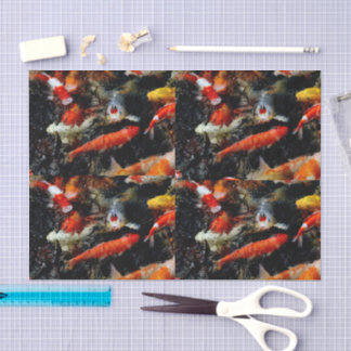 Papier de soie pour bassin de carpes koï multicolo
