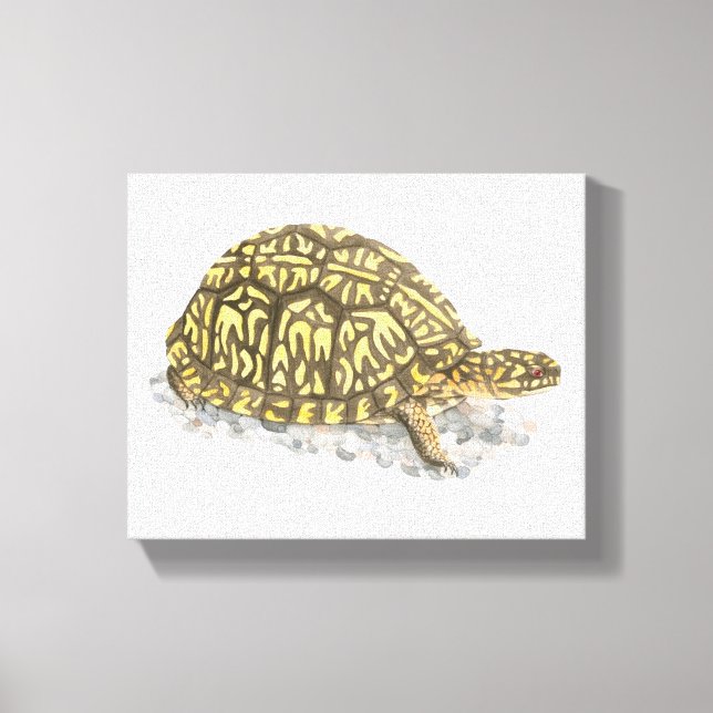 Papier de toile de tortue à boîte orientale (Recto)