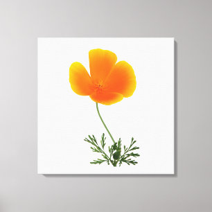 papier de toile orange pavot