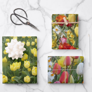 Papier d'emballage aux tulipes et jonquilles color