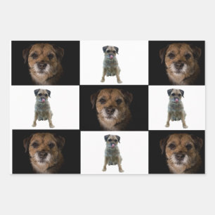 Papier d'emballage Bordure Terrier
