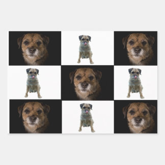 Papier d'emballage Bordure Terrier