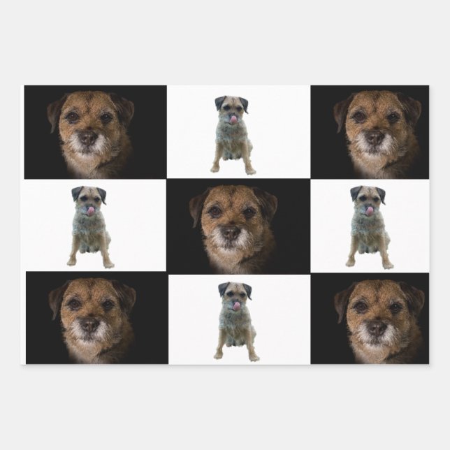 Papier d'emballage Bordure Terrier (Devant 2)