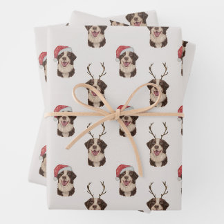 Papier d'emballage de Noël du berger australien