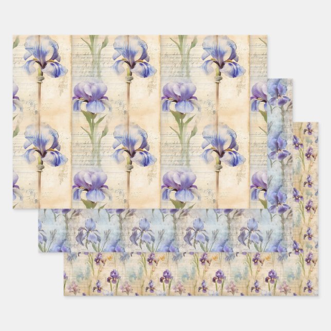 Papier d'emballage en iris (Lot)
