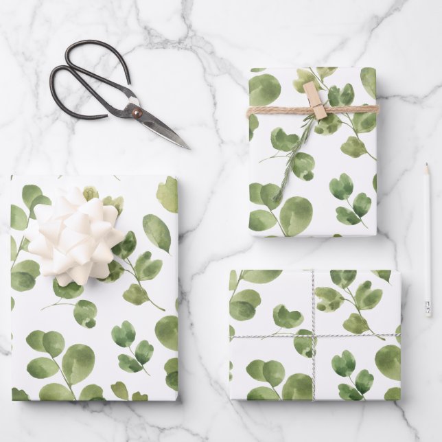 Papier d'emballage Eucalyptus Feuille plate par 3 (Recto)
