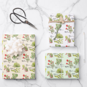 Papier d'emballage Plantes indigènes du volcan d'H