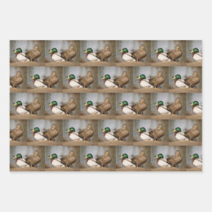 Papier d'enlèvement de canard de Mallard