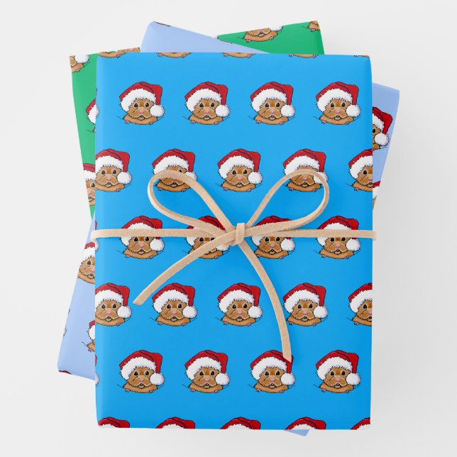 Papier d'enveloppement de Hamster de Noël série de (En situation)
