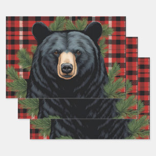 Papier d'enveloppement de l'ours noir du Nord