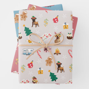 Papier d'enveloppement de Noël Frank & Baxter - Mi