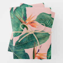 Papier d'enveloppement des oiseaux de paradis