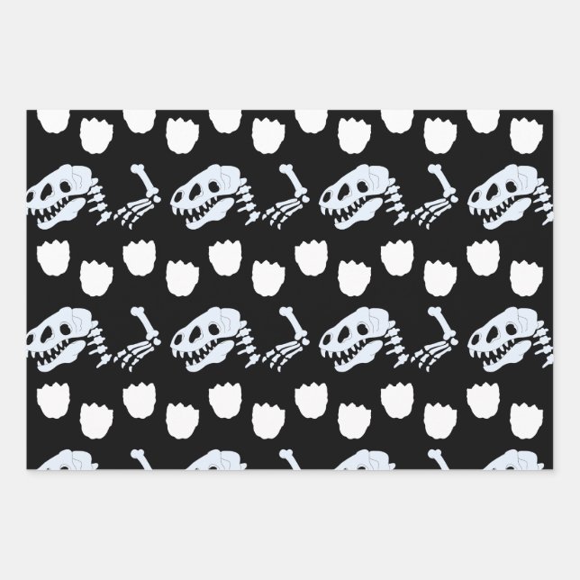 Papier d'enveloppement des os de dinosaure (Devant 3)