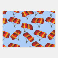 Papier d'enveloppement pour parachutisme