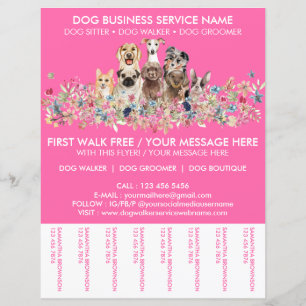 Papier Dépliant de service de promeneur de chiens Neon Pi