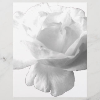 Papier Design rose blanche