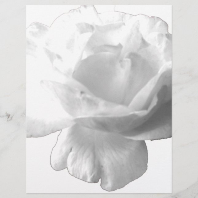 Papier Design rose blanche (Devant)