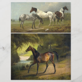 Papier Deux belles peintures de chevaux de l'ère victorie