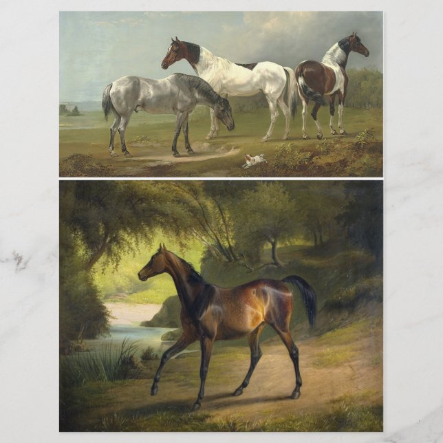 Papier Deux belles peintures de chevaux de l'ère victorie (Devant)