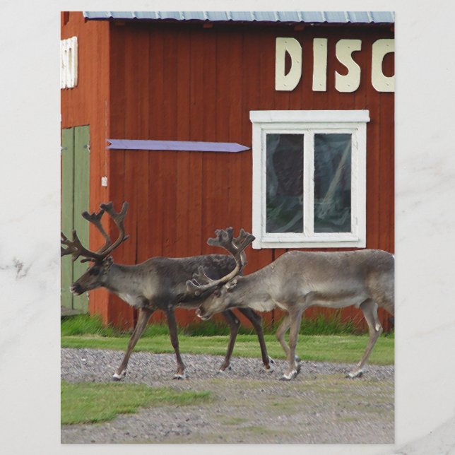 PAPIER DISCO DEER (Devant)