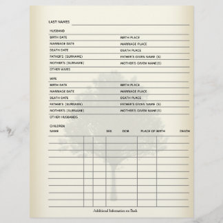 Papier Dossier généalogique des dossiers familiaux
