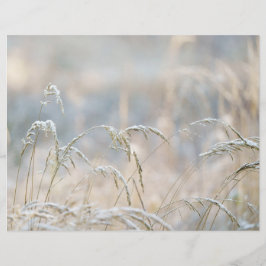 Papier Dremy Winter Nature Scrapbook paper