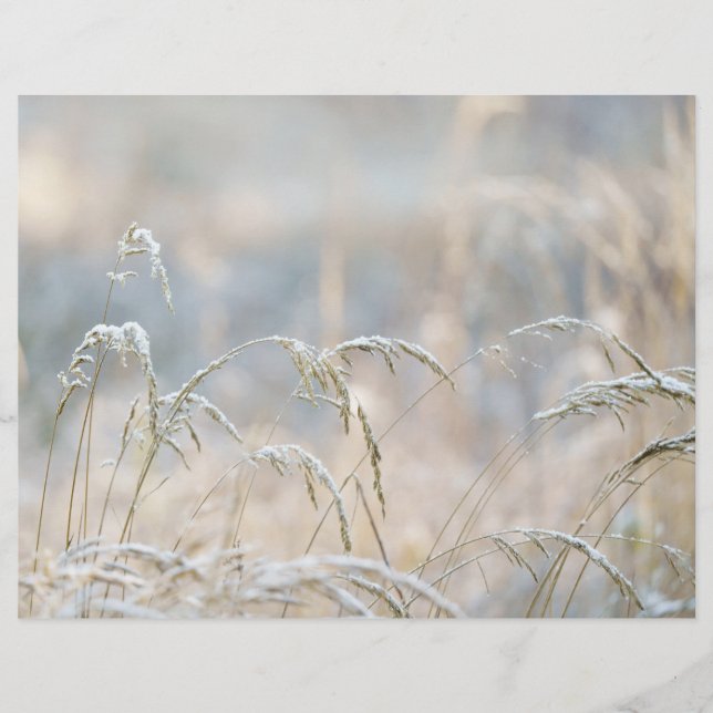 Papier Dremy Winter Nature Scrapbook paper (Devant)