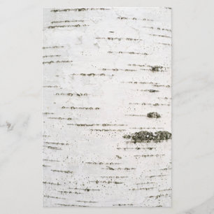 Papier Écorce de bouleau