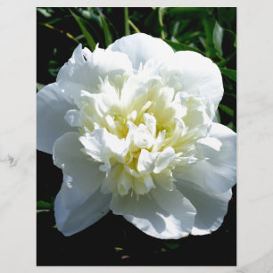 Papier Elégant blanc peony floral blanc photo
