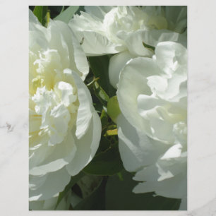 Papier Elégant blanc peony floral blanc photo