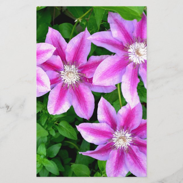 Papier Élégante végétation boho rose (Devant)